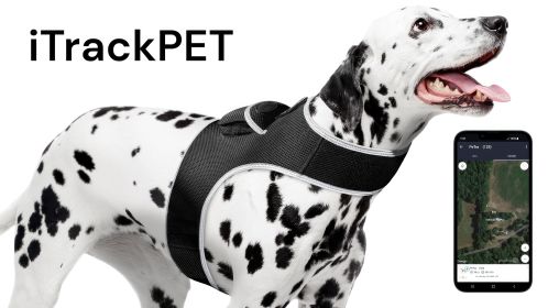Realtime GSM GPS Quick Track Collar Pet Tag Waterproof Tracking Device Size:M