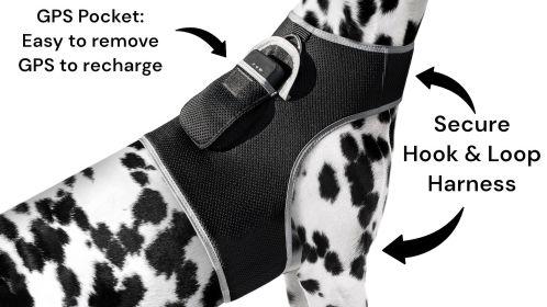 Cost-Saving GPS Dog Collar Tracker w/ Realtime Phone Pet Tracking App Size:S