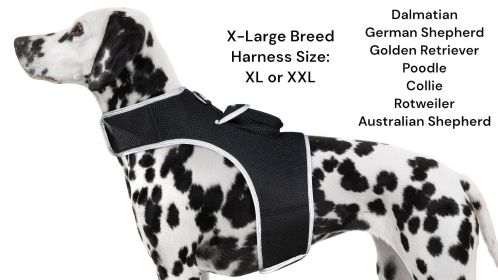 Collar Mount Pocket GPS Pet Chip Waterproof Tracker w/ Realtime System Size:S